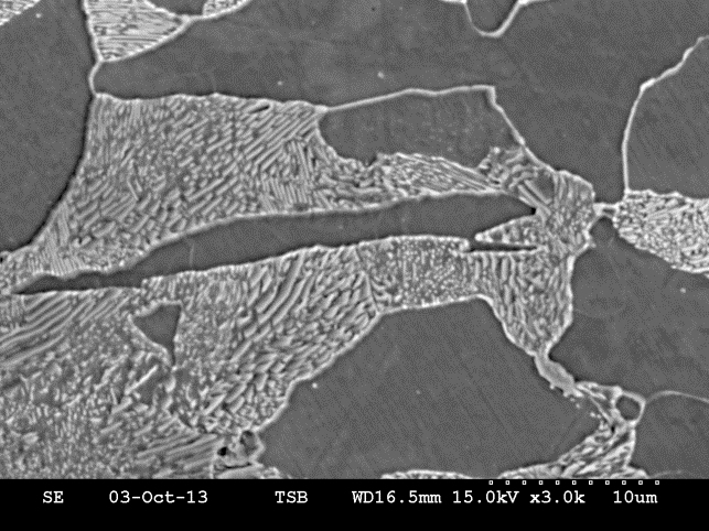 (f) Coupon 9S – SEM micrograph, original magnification 3000X