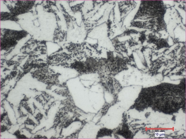 (d) Coupon 20S – Optical micrograph, original magnification 1000X