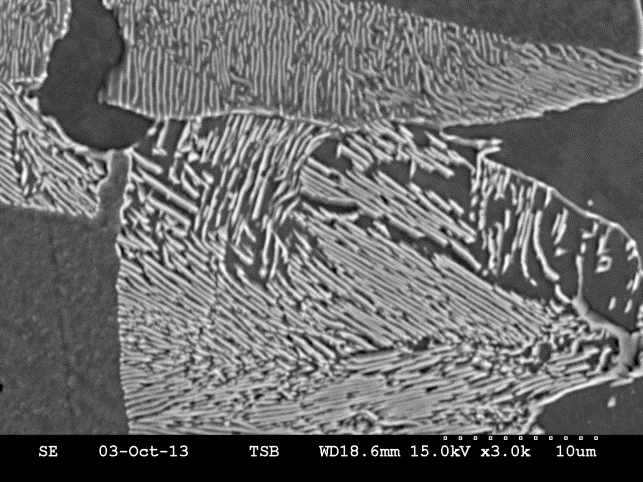 (c) Coupon 24H – SEM micrograph, original magnification 3000X