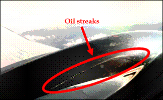 Photo of left-engine oil leak