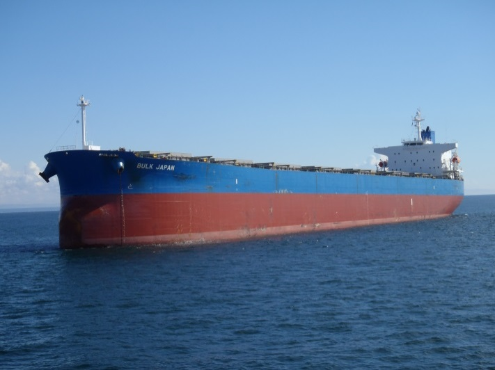 A photograph of the bulk carrier Bulk Japan.