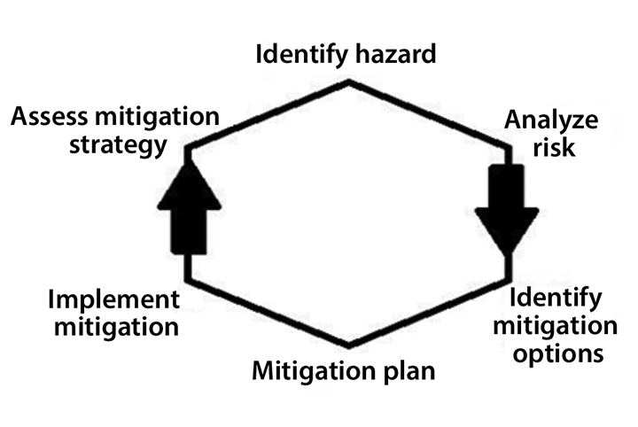 Diagram of the cycle of risk management