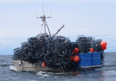 A prawn fishing vessel with traps ready to set on opening day