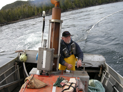 Fisherman wearing a PFD while
operating a power skiff during a herring
fishery set