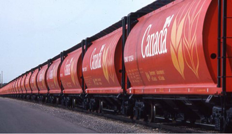 Covered hopper cars owned by the Government of Canada (Source: Transport Canada, TP 14995E, Government of Canada Hopper Car Fleet 2018 Annual Report, p. 3)
