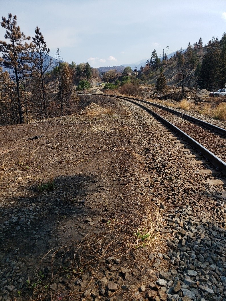 North edge of crossing at Mile 98.14 Ashcroft Sub looking eastward - BC  Wildfire Service suspected origin of fire. (Source: TSB)