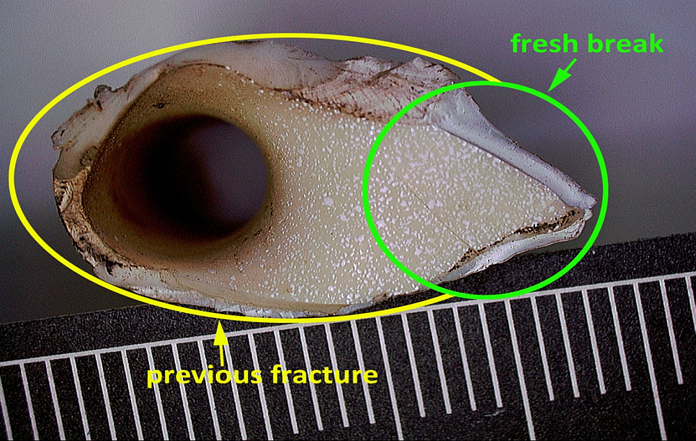 Fractured surfaces of the pipe