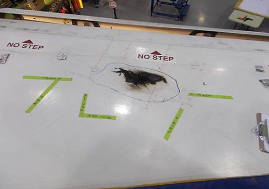 Left-wing upper surface damage showing burn marks (Source: Bombardier Inc.)