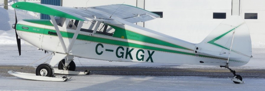Photo of the occurrence aircraft (Source: Aircraft co-owner)