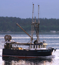 Love and Anarchy, a combination trawl and troll fishing vessel