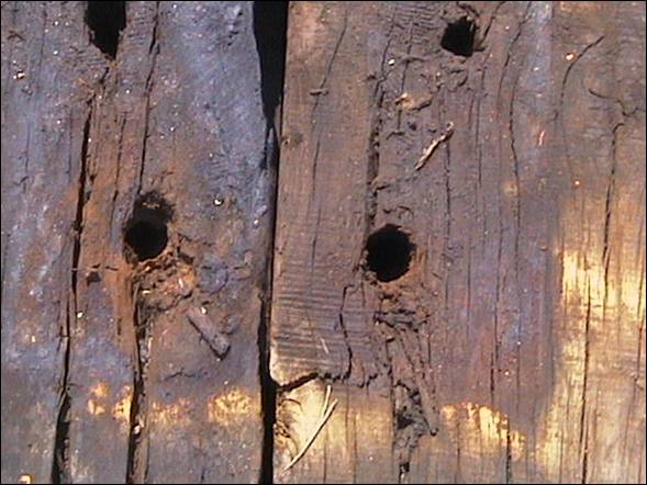 Deteriorated spike holes in crossties