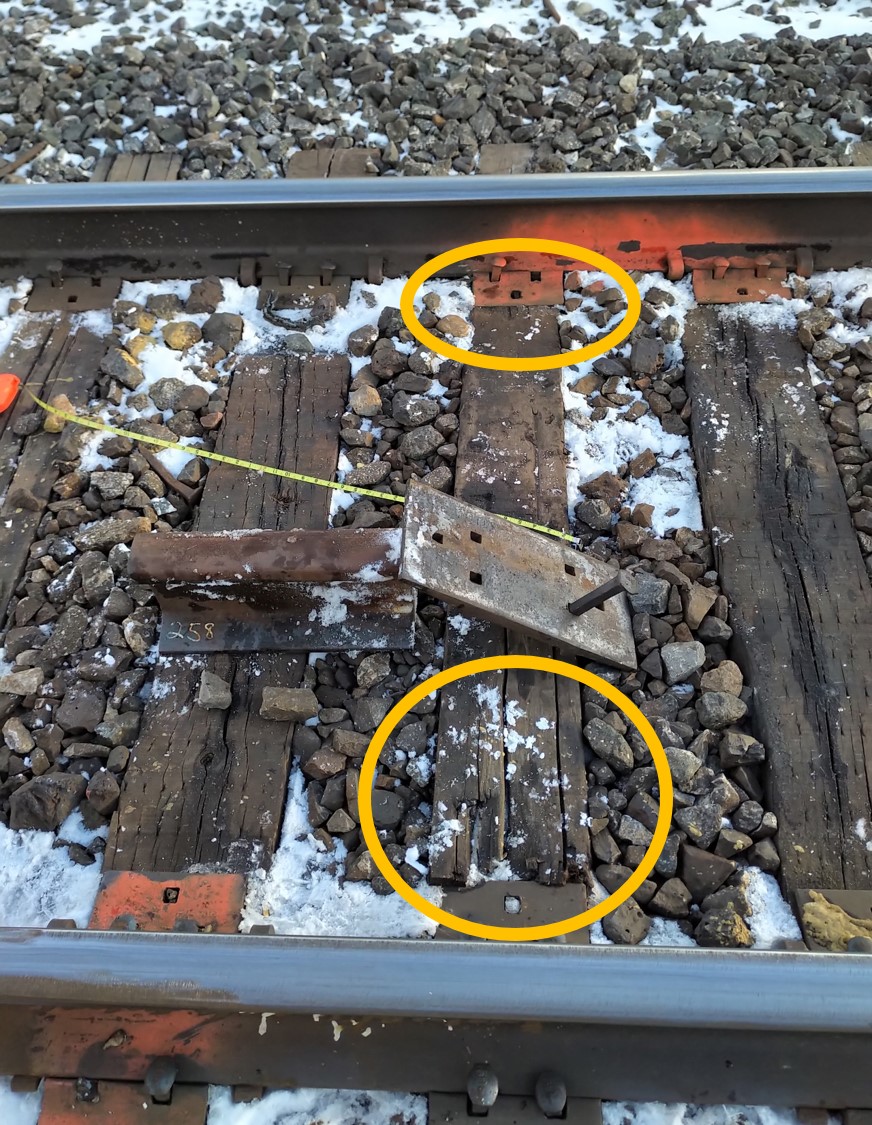 Tie at the west end of the replacement rail showing cracking along the length of the tie and wood decay under the tie plate (Source: TSB)
