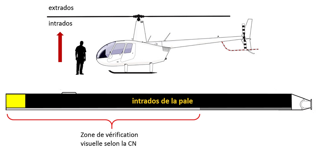 Zone de vérification des pales à l’intrados (Source : site internet de Robinson Helicopter Company (https://robinsonheli.com/) pour l’hélicoptère et BST pour la pale et les annotations)