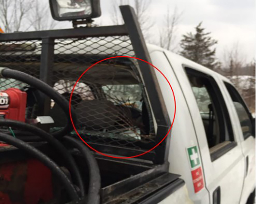 Dommages à la grille métallique de protection recouvrant la vitre arrière du véhicule rail-route (Source : CN, avec annotations du BST)