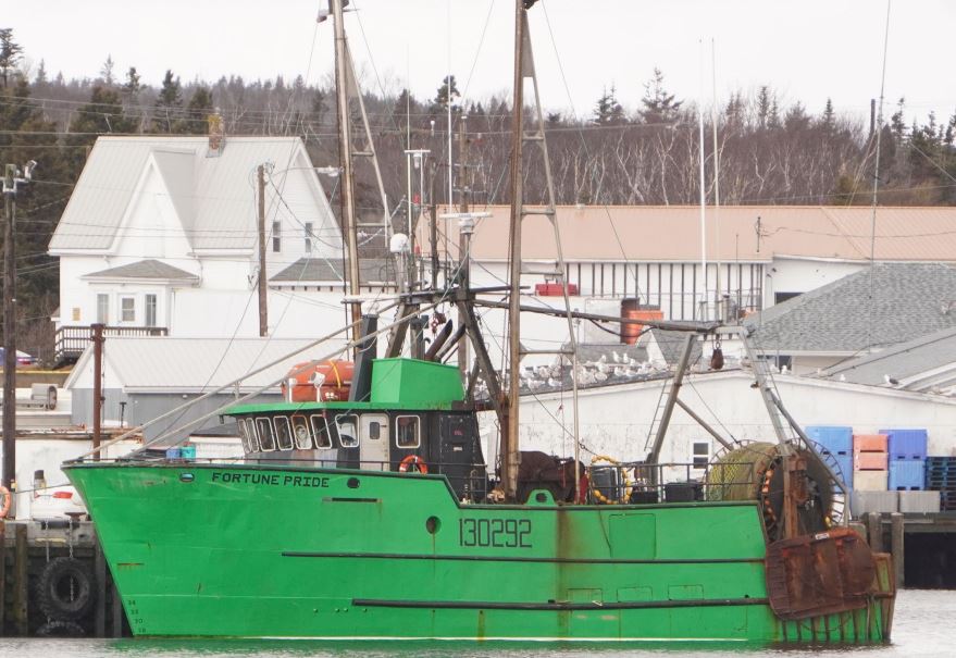<em>Fortune Pride</em> at dock 22 in February 2024 (Source: Jameson Theriault – Marine Surveys)