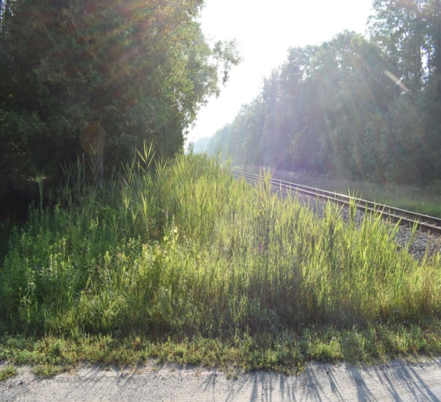 Figure&nbsp;3. View to the southeast of the CPKC Hunt Road grade crossing, from a position approximating that of a driver of a southbound vehicle 