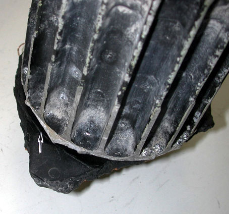 Recovered fan - Exhibit 1-8212 - impeller gouge