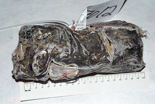 SAI casing - front view