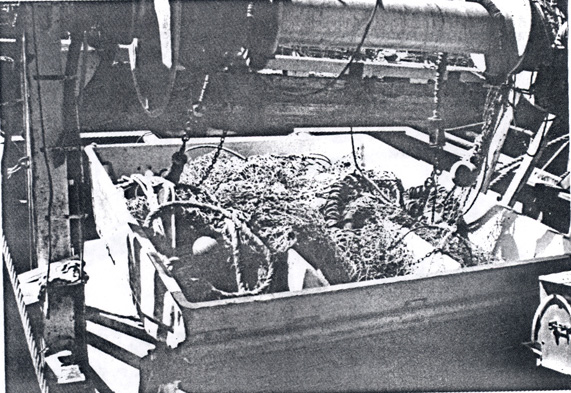  Appendix F - View of Aluminium Fish Box on after Deck. 