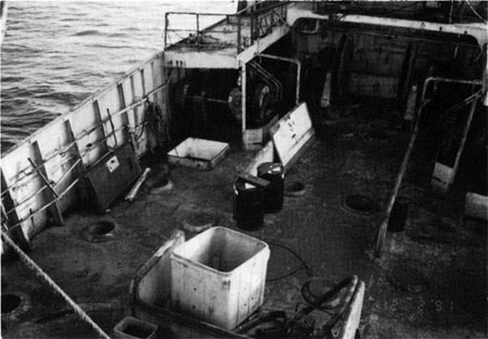 "NADINE" après renflouement. 