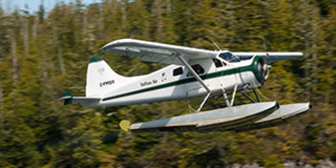 <h2>Factors affecting visual perception resulted in aircraft and water taxi collision in Tofino harbour, BC</h2>