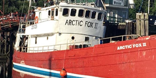 <h2>Insufficient maintenance and the absence of regulatory surveillance contributed to the fatal sinking of the <em>Arctic Fox II</em> near Bamfield, British Columbia</h2>